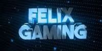 Felix Gaming, éditeur de logiciels de jeux