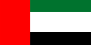 The UAE Flag