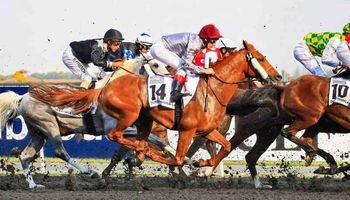 كأس دُبي للخيول في الشرق الأوسط