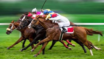 منشات قطر لسباق الخيل