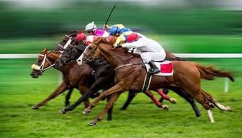 أفضل 3 أفلام حول سباق الخيل