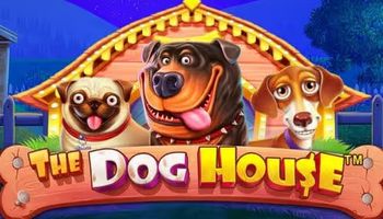 أفضل العاب سلوتس الكلاب في مواقع الكازينو اون لاين