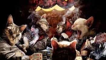 poker et animaux