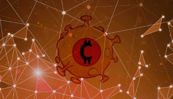 parier sur le coronacoin