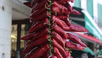 Pays basque casino Hendaye