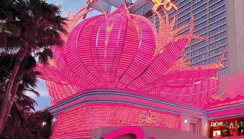 casino las vegas flamingo