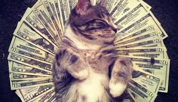 décryptage des bonus de casino