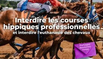 courses hippiques cruauté