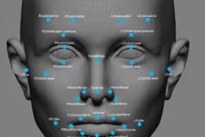 facial recognition 300x292 1