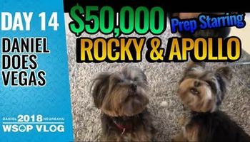 Daniel Negreanu remporte le SHRB