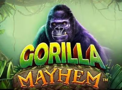 Gorilla Mayhem machine a sous