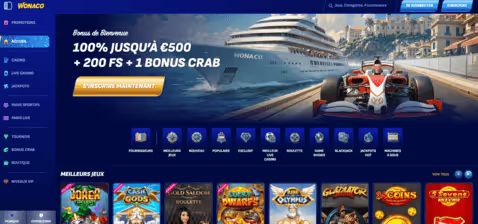 Capture d'écran 2024 07 22 092125 (1)