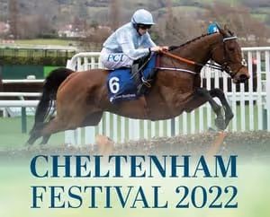 شاب عربي يفوز في بيت 365