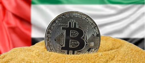 المعاملات الرقمية في الإمارات العربية