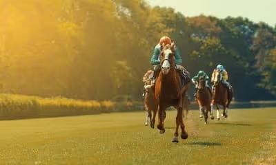 كيف تستثمر في سباق الخيل