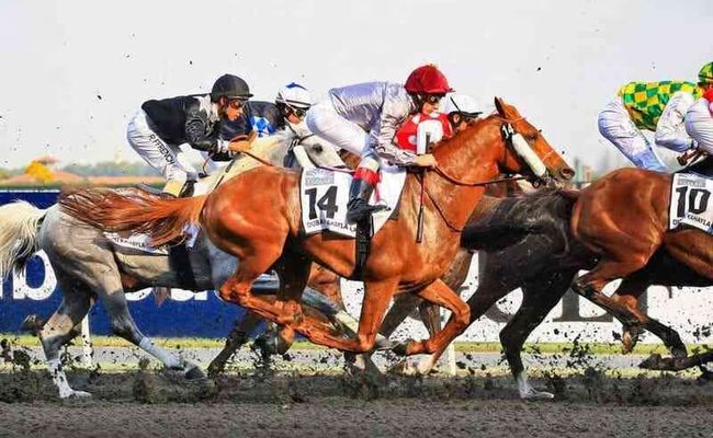 كأس دُبي للخيول في الشرق الأوسط