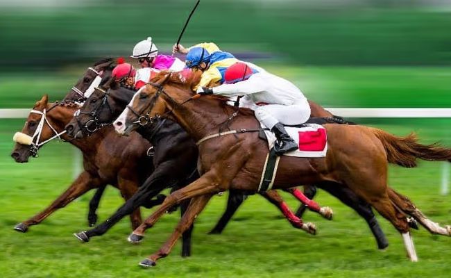 منشات قطر لسباق الخيل