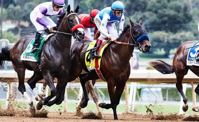 شراء خيول سباق للمبتدئين