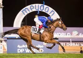 مراهنات رياضة الخيول