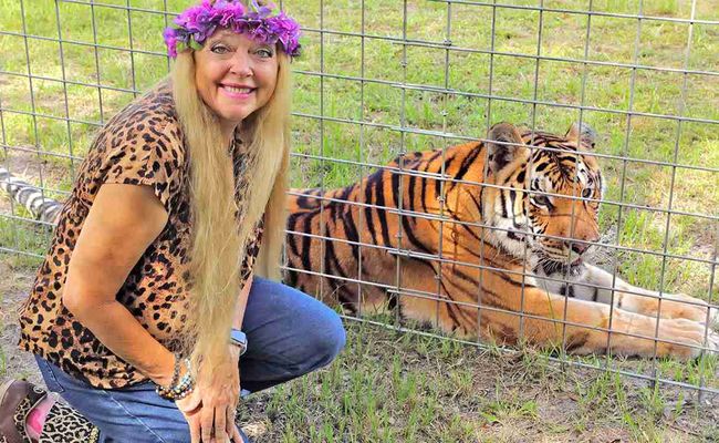 carole baskin red tiger