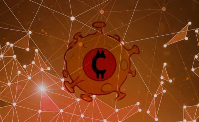 parier sur le coronacoin