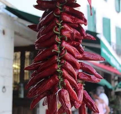 Pays basque casino Hendaye