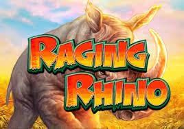 raging rhino