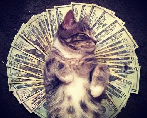 décryptage des bonus de casino