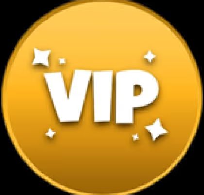 programme vip casino