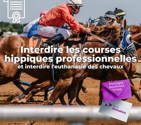 courses hippiques cruauté