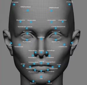 facial recognition 300x292 1