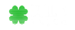 WildTokyo