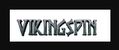 Avis sur le casino Viking Spin